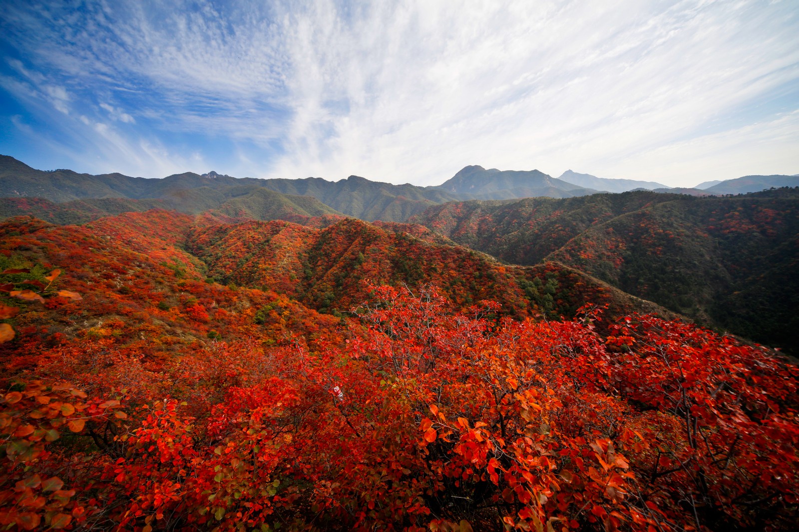 主打仙境漫游，神仙旅游地濟(jì)源的初秋攻略請(qǐng)查收 | 國慶漫游Citywalk