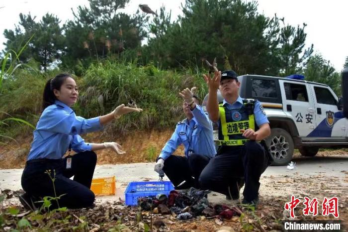 廣西男子捕捉野生鳥(niǎo)被抓 96只鳥(niǎo)類(lèi)幸免于“燒烤”