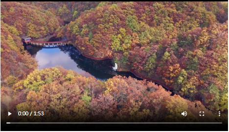 鄉(xiāng)村行·看振興 再向三山行·伏牛山采風(fēng)②丨村里的年輕人又回來了