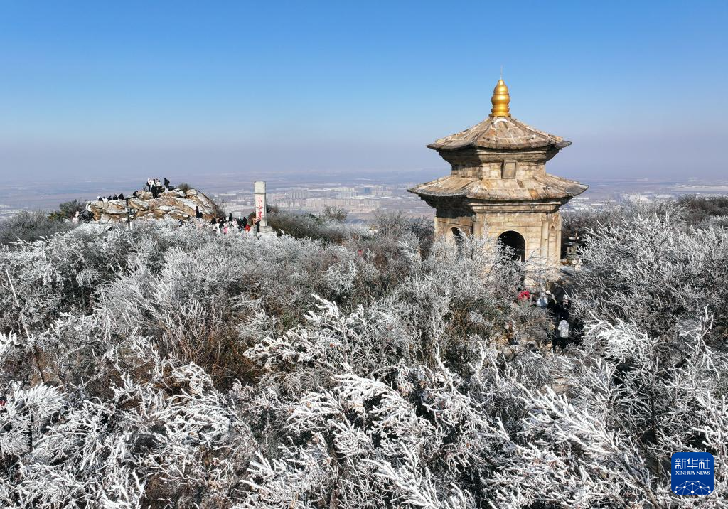 詩(shī)意中國(guó)丨不知庭霰今朝落，疑是林花昨夜開(kāi)