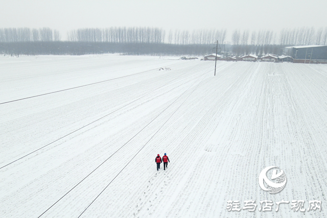 國網(wǎng)平輿縣供電公司：戰(zhàn)風(fēng)雪 破堅冰 打贏春節(jié)保電攻堅戰(zhàn)