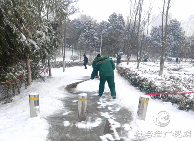 遂平縣園林綠化中心：除雪護(hù)綠 全力保障市民安全游園