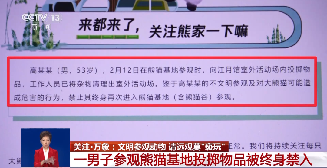 又有游客被終身禁入，為什么不能隨意投喂大熊貓？