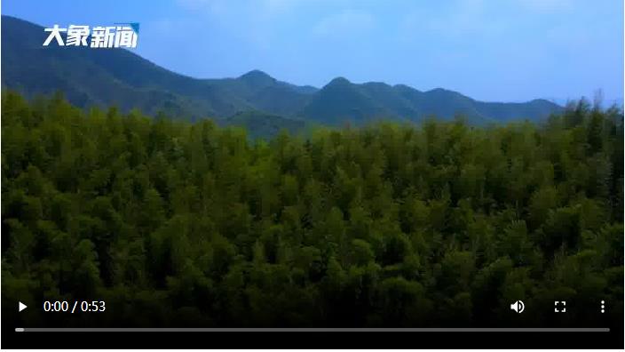 雨水：待一場春雨，迎萬物新生