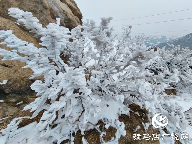 美呆了！羅漢山開啟雪凇、霧凇雙景齊現(xiàn)模式