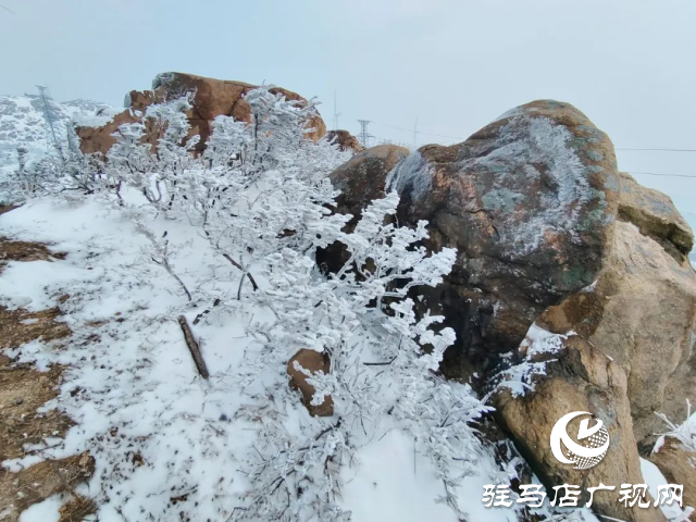 美呆了！羅漢山開啟雪凇、霧凇雙景齊現(xiàn)模式