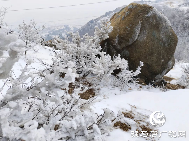 美呆了！羅漢山開啟雪凇、霧凇雙景齊現(xiàn)模式