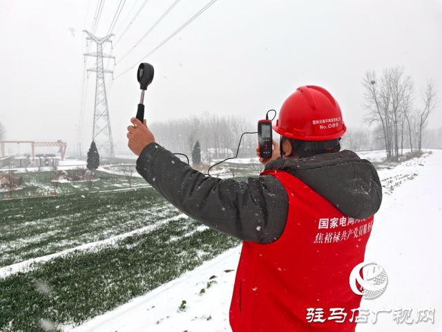 國(guó)網(wǎng)平輿縣供電公司：踏雪破冰護(hù)電網(wǎng)  寒潮逆行保民生