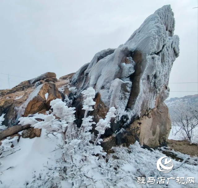 美呆了！羅漢山開啟雪凇、霧凇雙景齊現(xiàn)模式