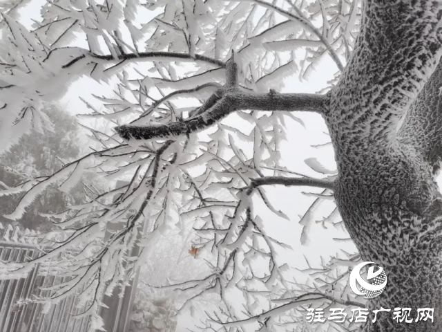 美呆了！羅漢山開啟雪凇、霧凇雙景齊現(xiàn)模式