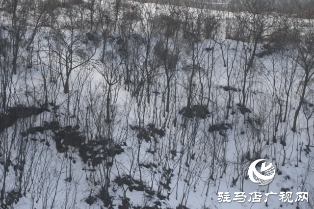 盤古山：晨起開門雪滿山 雪晴云淡日光寒