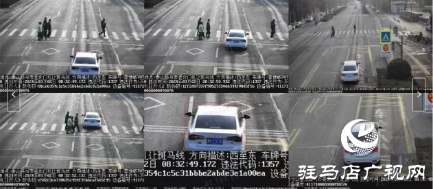 曝光臺：我市機動車不禮讓行人曝光