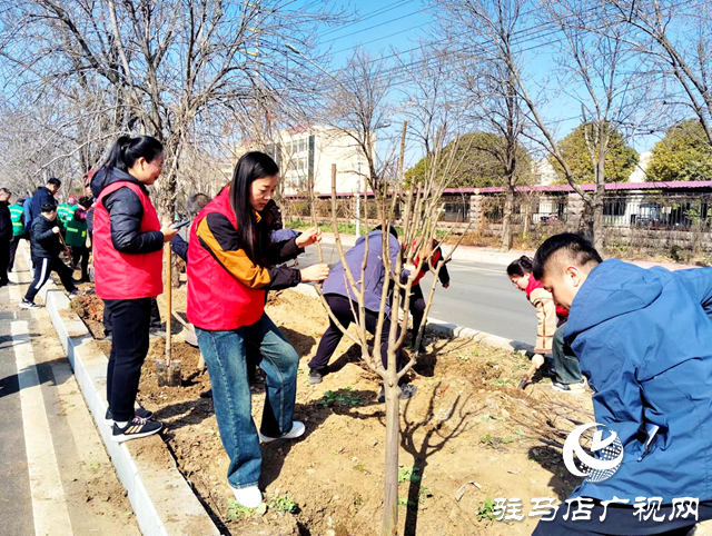 西平縣城管局園林綠化中心：春光無限好植樹正當(dāng)時