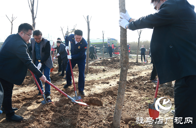 驛城區(qū)：植樹(shù)添新綠 不負(fù)好春光