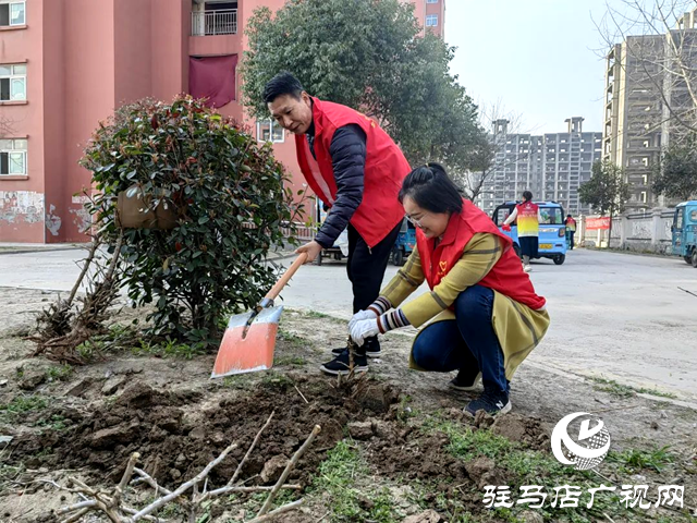 駐馬店市郵政分公司團(tuán)委組織開(kāi)展植樹(shù)活動(dòng)