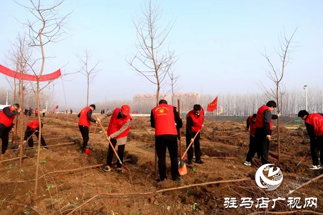 新蔡縣人民檢察院開展義務(wù)植樹活動