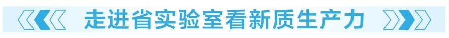 為新質(zhì)生產(chǎn)力發(fā)展蓄勢賦能 省實(shí)驗(yàn)室緣何成為“科研尖兵”