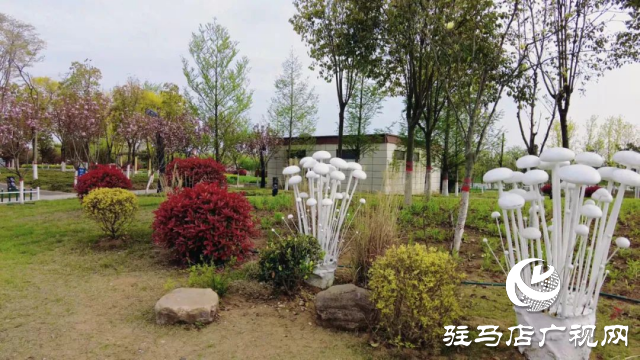 泌陽縣：菌都公園春意濃 市民健身樂無窮