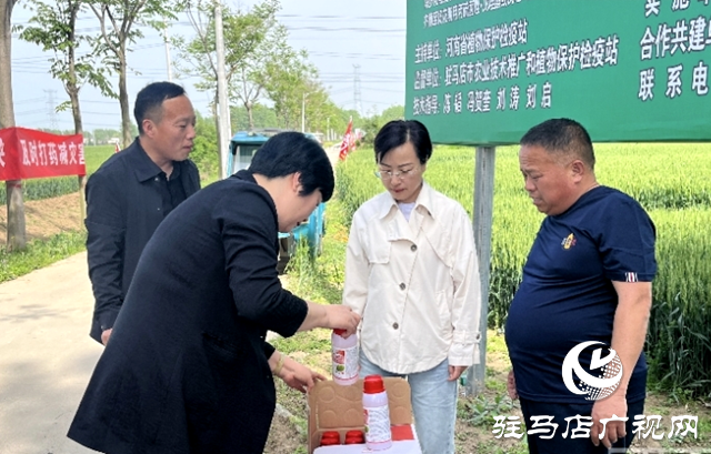 平輿縣2024年小麥“一噴三防” 暨重大病蟲(chóng)害統(tǒng)防統(tǒng)治現(xiàn)場(chǎng)會(huì)舉行