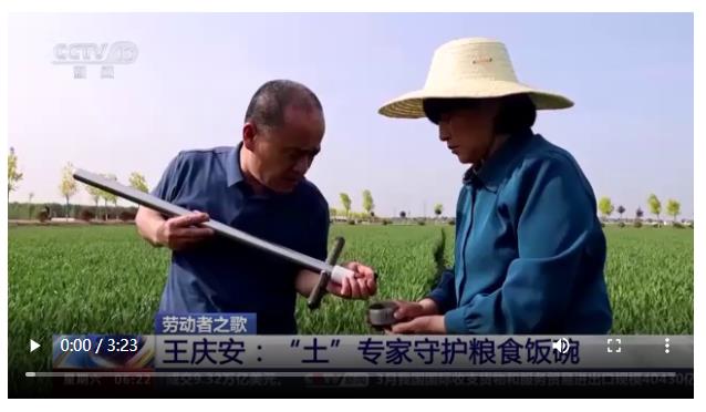 央媒觀豫丨在農(nóng)田里辦公 這個“土”專家，中！