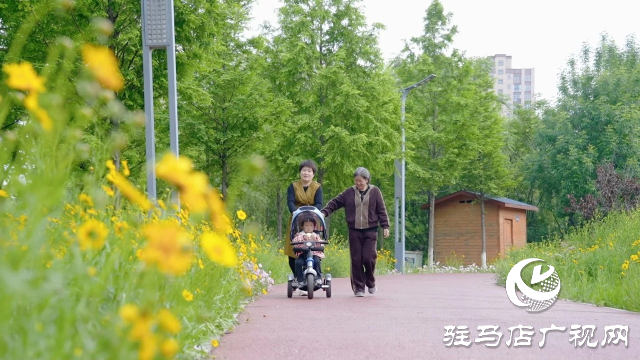 新蔡縣：邂逅一場初夏的浪漫