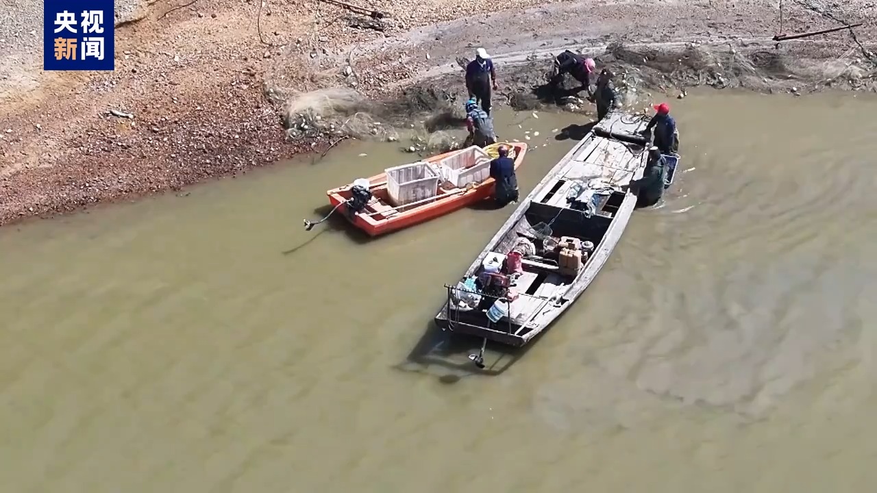 毀林種咖啡、江豚慘死 中央生態(tài)環(huán)保督察通報七地典型案例