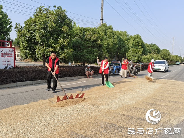 駐馬店經(jīng)濟開發(fā)區(qū)賈莊居委會成立“三夏”生產(chǎn)服務(wù)應急小分隊幫助群眾收麥