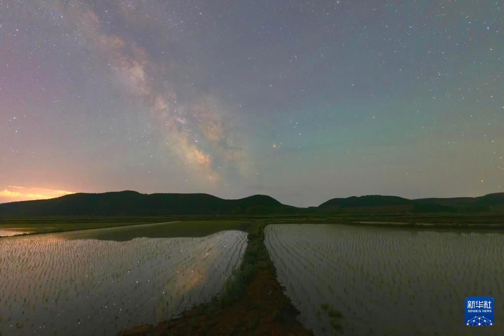 初夏“北大倉”舒展稻田星光畫卷