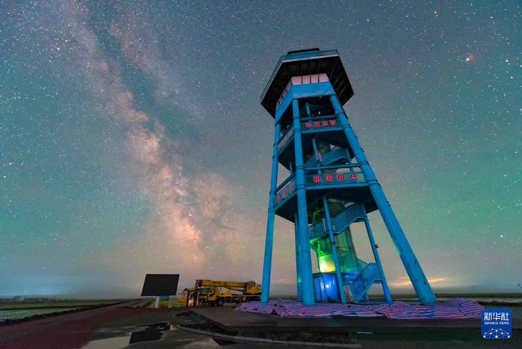 初夏“北大倉”舒展稻田星光畫卷