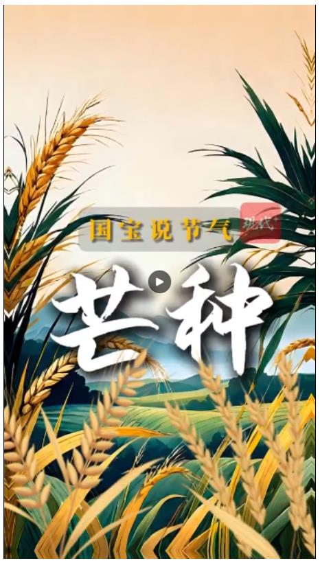 文脈華章｜國寶里的“芒種”，生生不息的華夏密碼