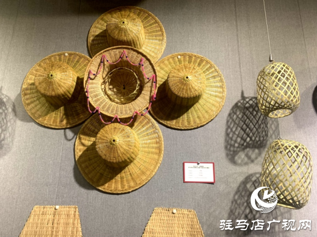 駐馬店文化館開展“年華易老 技憶永存”非遺宣傳展示活動(dòng)