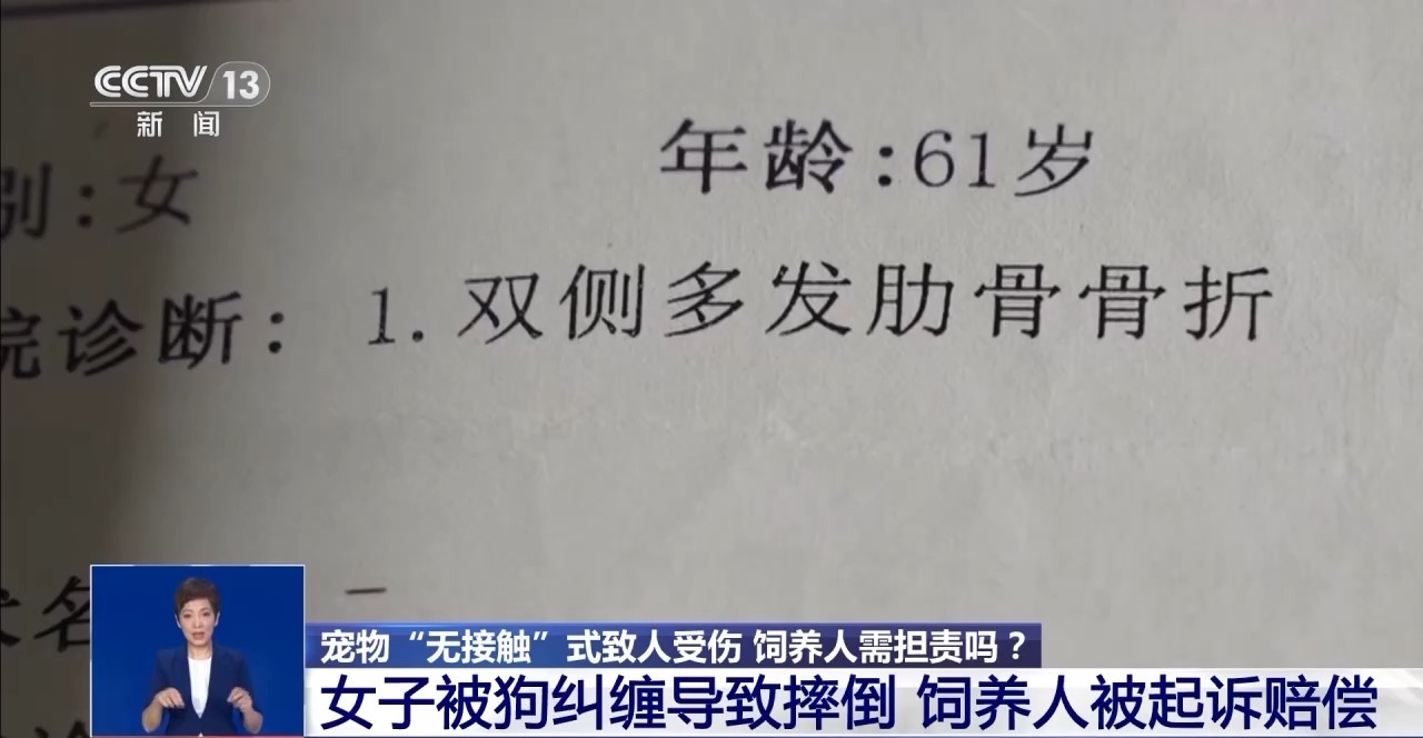 寵物“無接觸”致人受傷 寵物主人是否要擔(dān)責(zé)？一文了解→