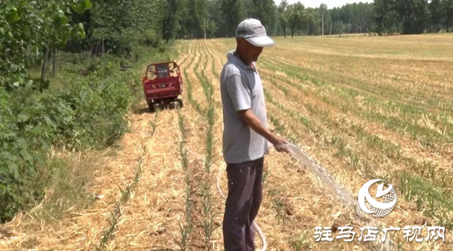 遂平縣：中小型水庫及時開閘放水保夏種