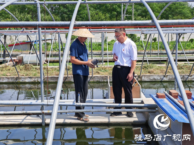 平輿縣清河街道馮寨社區(qū)：以“雙提升”工程為抓手 推動基層社會治理工作全面提升