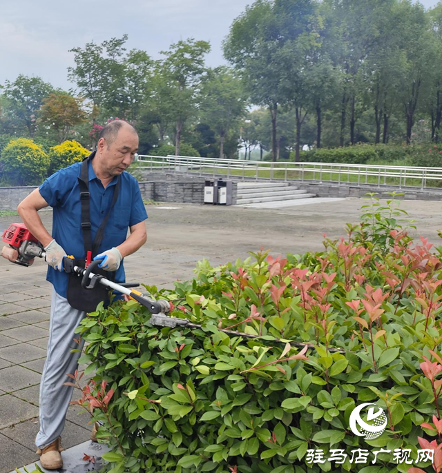 駐馬店：炎炎夏日草木長 園林綠化養(yǎng)護(hù)忙