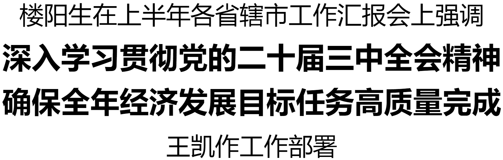 樓陽生主持召開上半年各省轄市工作匯報會