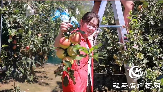 西平縣旅游服務中心開展愛心義務助農(nóng)活動