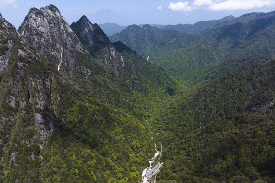 學(xué)習(xí)進(jìn)行時丨“綠水青山就是金山銀山”——習(xí)近平推動生態(tài)環(huán)境保護(hù)的故事