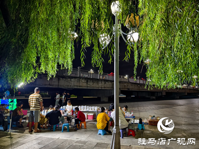 泌陽(yáng)縣泌水河公園：璀璨燈光扮靚小城夜景