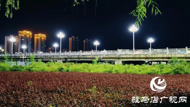 泌陽(yáng)縣泌水河公園：璀璨燈光扮靚小城夜景