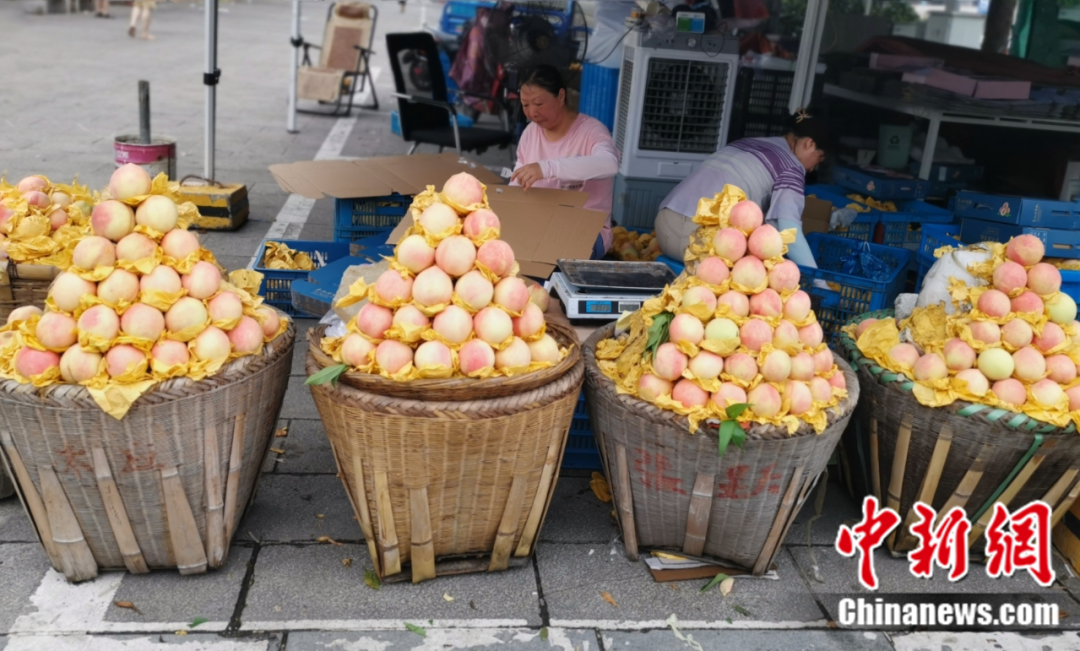 每顆40元，直送迪拜！悟空和土豪最愛，產(chǎn)自這里！