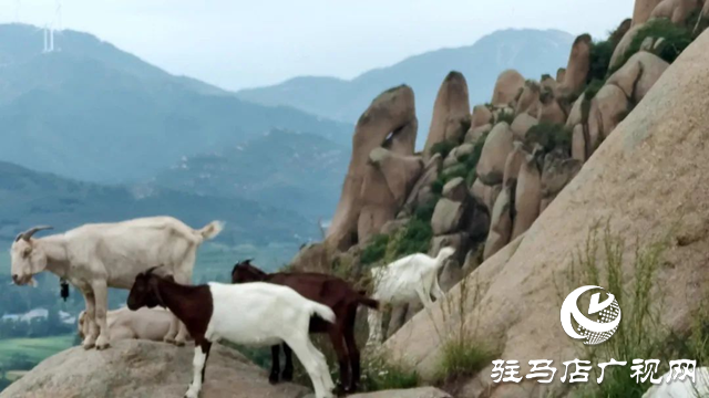 泌陽縣蛤蟆山：風(fēng)光旖旎如畫