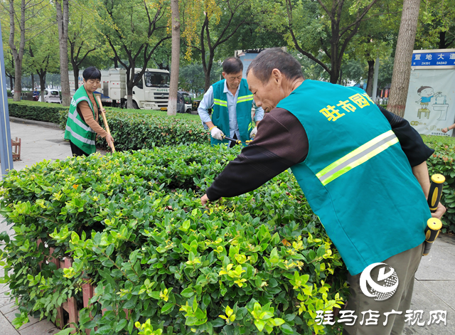 駐馬店：初秋養(yǎng)護(hù)正當(dāng)時 園林綠化煥新顏