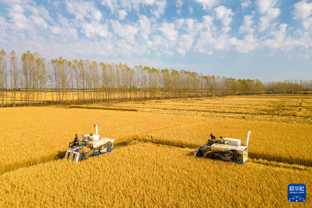 當(dāng)好國(guó)家糧食穩(wěn)產(chǎn)保供“壓艙石”——“大糧倉”黑龍江秋收?qǐng)D景掃描