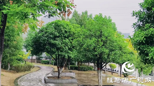 泌陽縣雙龍公園：走進(jìn)雨中公園 感受濃郁秋意