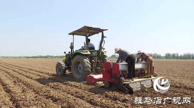 小麥播種：深耕細種 打牢夏糧生產基礎