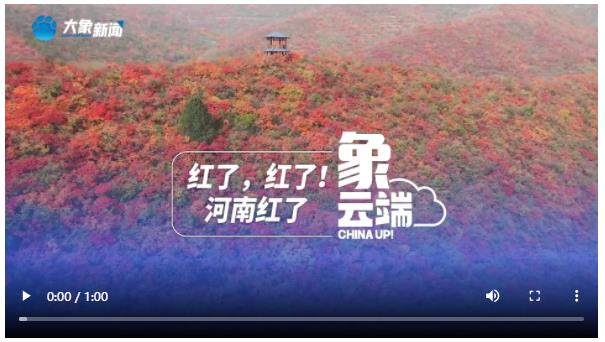 紅了，紅了！河南紅了|象云端