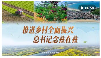 微視頻｜推進(jìn)鄉(xiāng)村全面振興 總書(shū)記念茲在茲