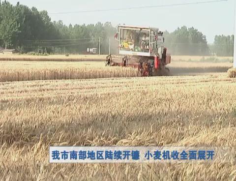 我市南部地區(qū)陸續(xù)開鐮  小麥機收全面展開