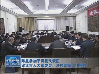 陳星參加平輿代表團審議市人大常委會、法檢兩院工作報